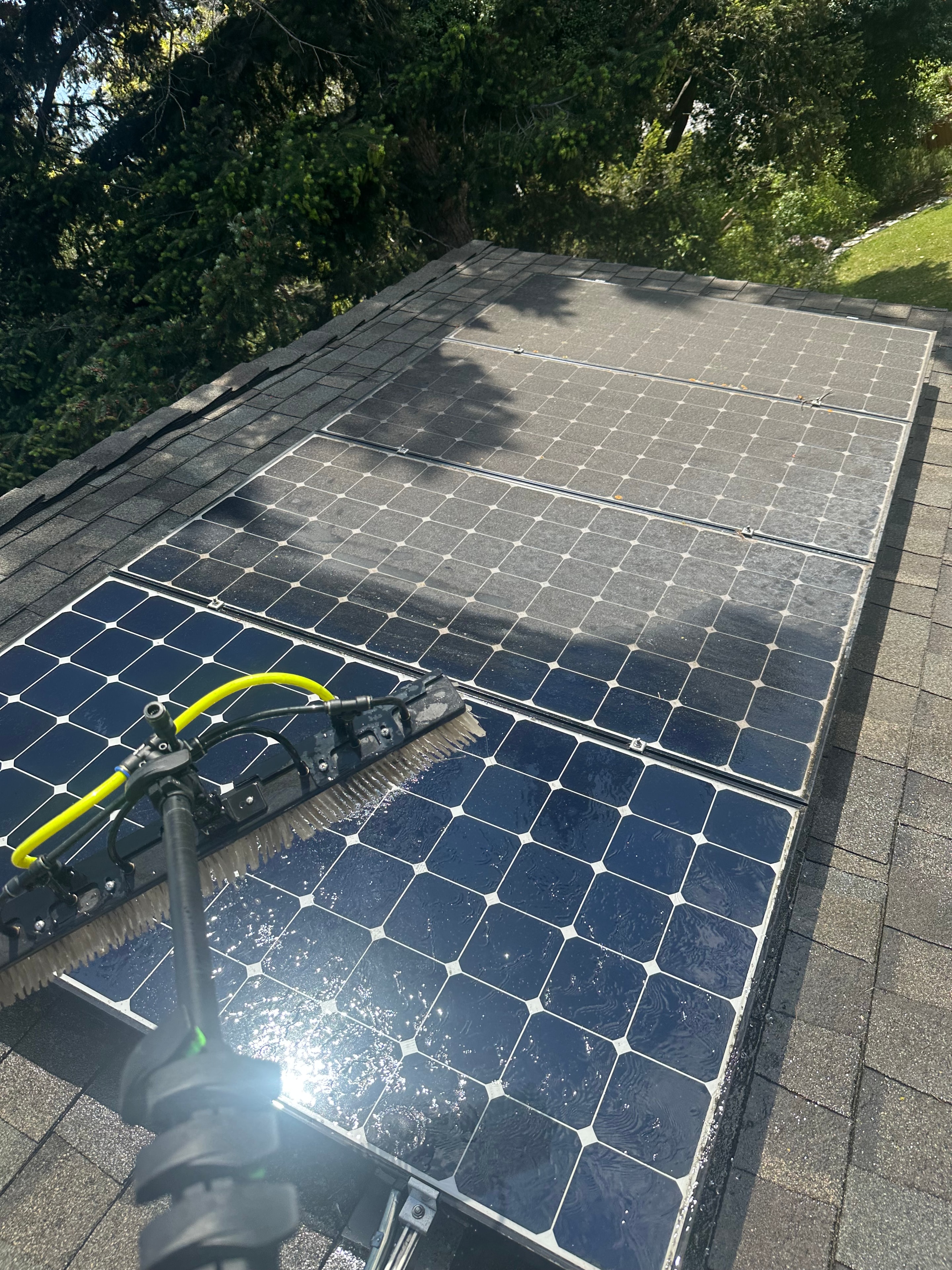 Solar Panel Cleaning